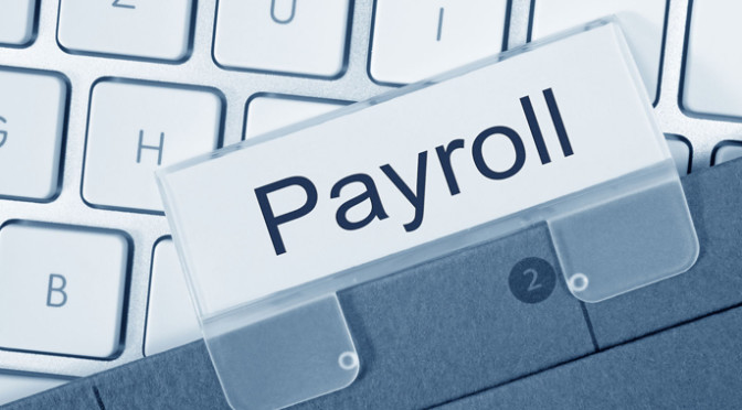 Payroll Software in Delhi NCR